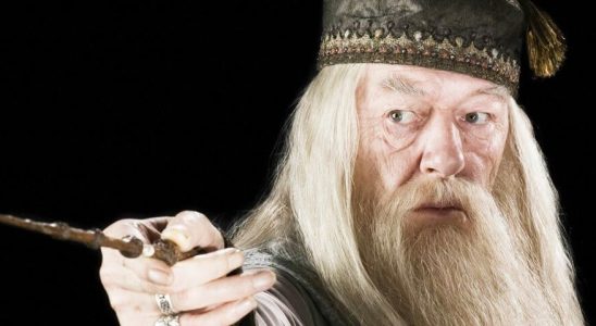 Harry Potter fans recreate heartbreaking Dumbledore scene to honor late