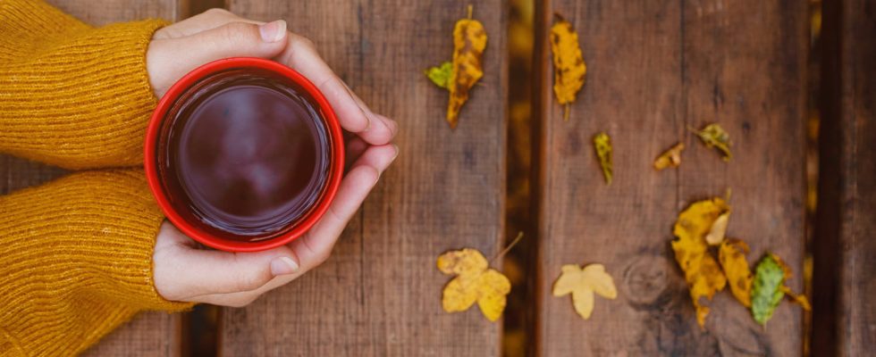 Here is the ideal drink in autumn according to our