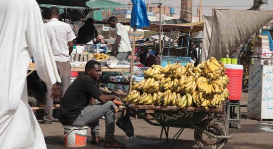 Hunger in Sudan is increasing like an avalanche