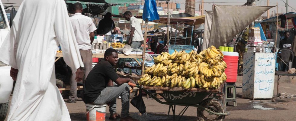 Hunger in Sudan is increasing like an avalanche