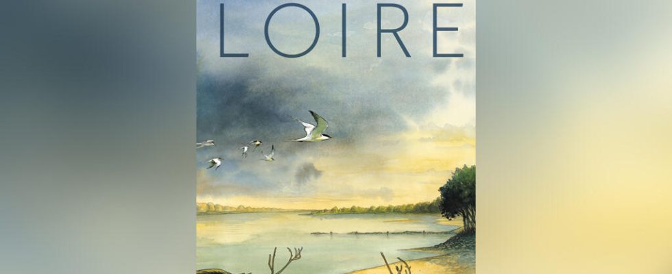 Loire by Etienne Davodeau the portrait of a river in