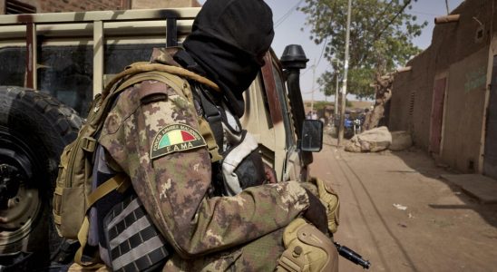 Mali the army column advances slowly in the Gao region