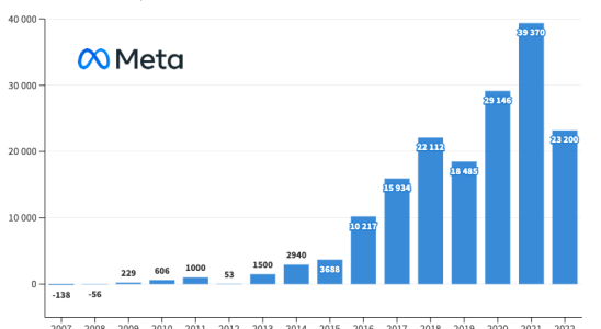 Meta results at half mast and an opening to paying