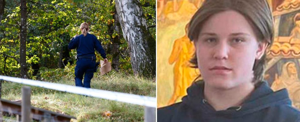 Missing Henrik in Alingsas Suspected murder