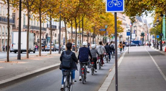 Nearly a quarter of Parisians are velotafeurs