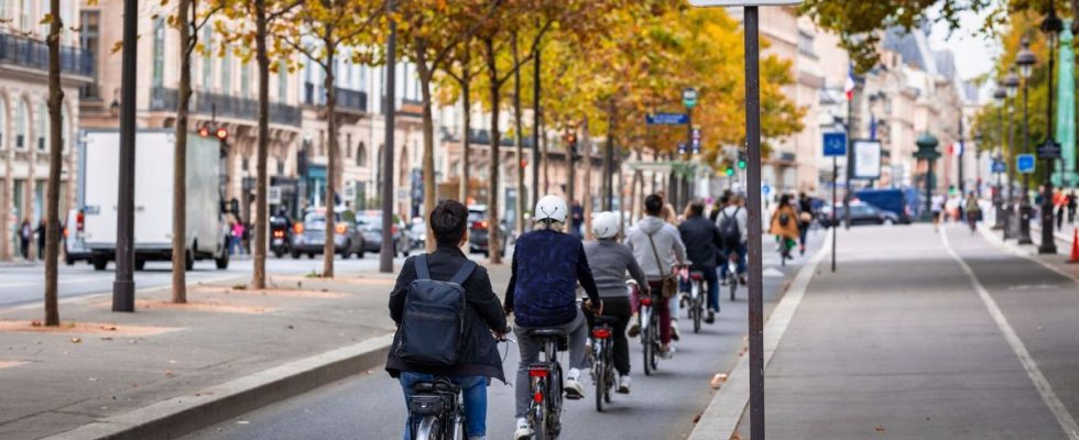 Nearly a quarter of Parisians are velotafeurs