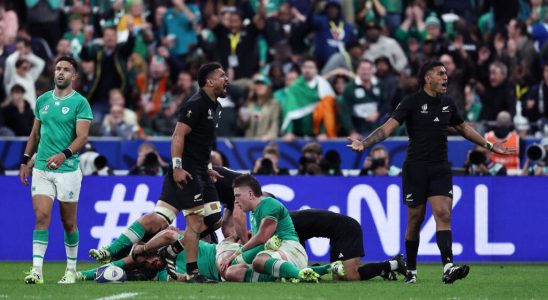 New Zealand triumphs over Ireland after a masterful shock