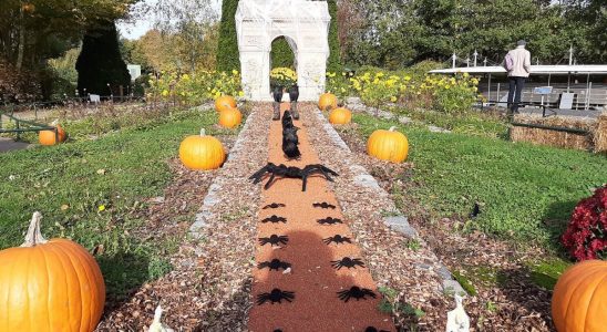 Our regions or a fate celebrate Halloween at the France