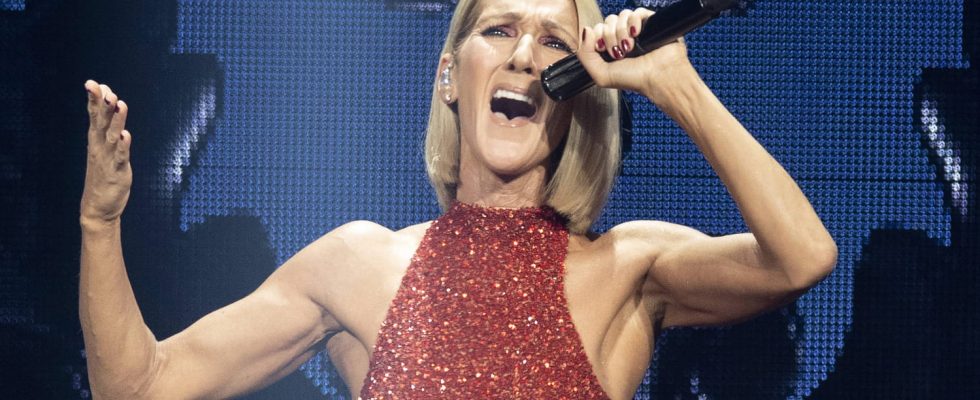 Precious Celine Dion memorabilia put on sale for a good