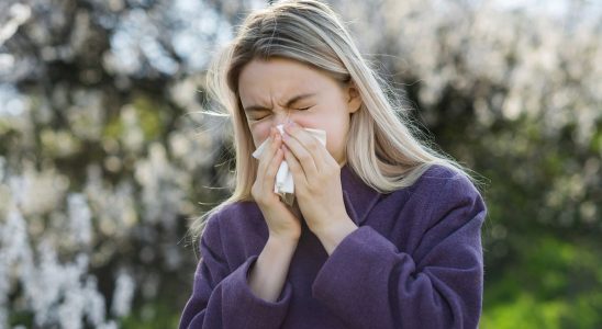 Soon a new vaccine against pollen allergies