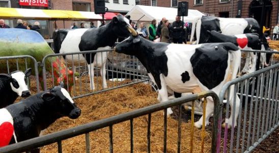 The Koeiemart in Woerden is also a party with plastic