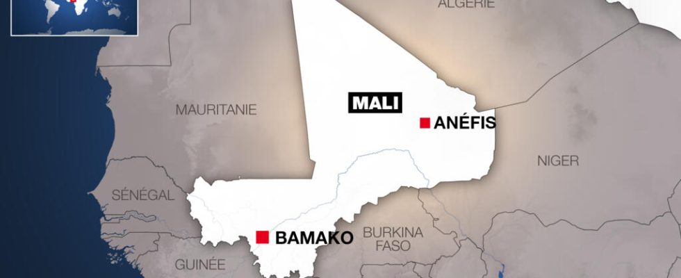 The Malian army controls the town of Anefis after the