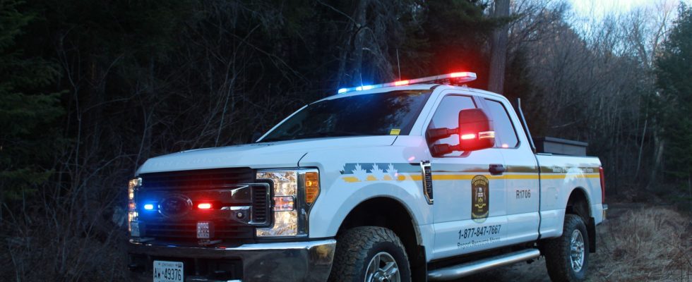 Two hunters convicted of hunting at night in Brant County