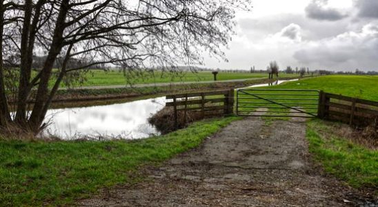 Utrecht will receive 15 tonnes for archaeological research in Rijnenburg