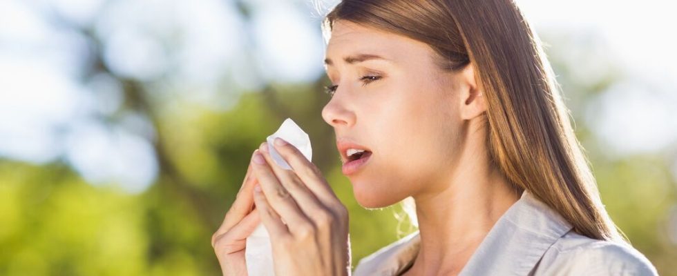 What are the most common symptoms of pollen allergies