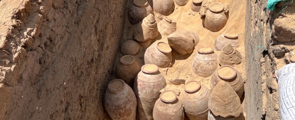 Wine find in 5000 year old queens tomb