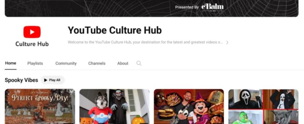 YouTube introduces new AI powered advertising model that allows brands to