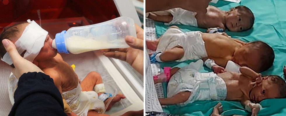 31 babies evacuated from al Shifa hospital