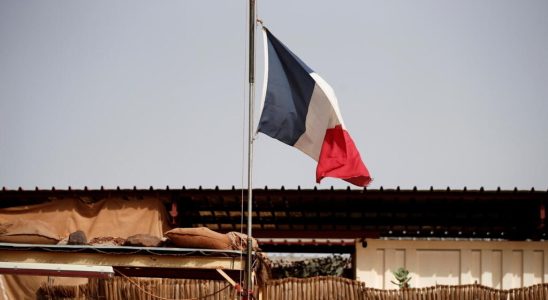 A parliamentary report scratches Frances African policy