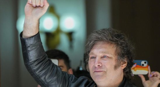 Argentina far right candidate Javier Milei wins presidential election