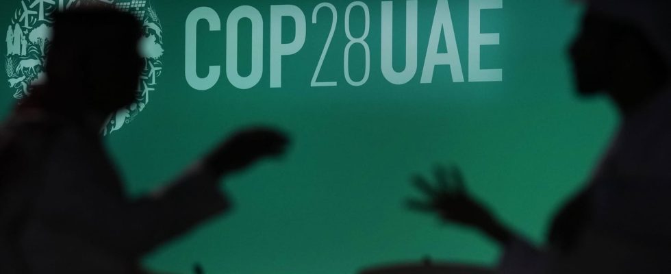 At COP28 oil lobbies too powerful Challenges for climate protection