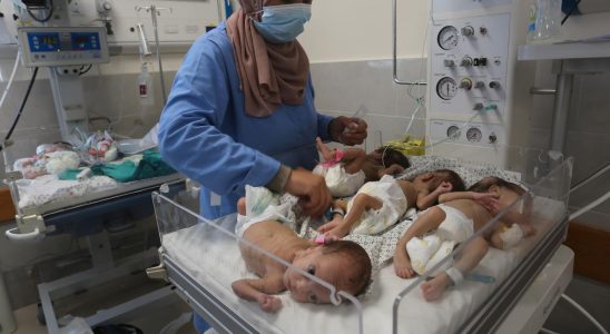 Babies from Gaza arrive in Egypt