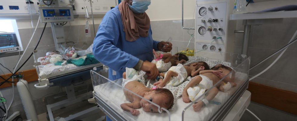 Babies from Gaza arrive in Egypt