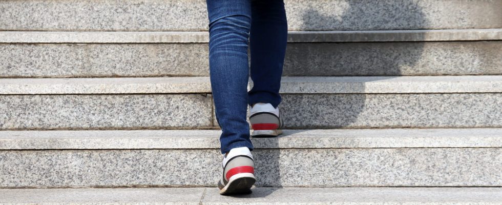 Cardiac mortality the number of stairs to climb per day