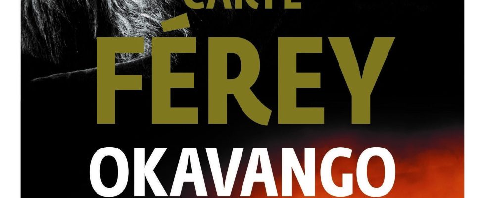 Caryl Ferey the thriller writer who roars like a lion