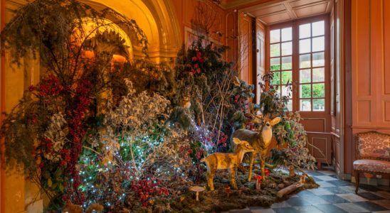 Christmas in the land of castles in Touraine