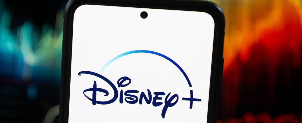 Disney increases its prices and changes its subscriptions today