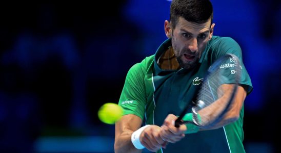 Djokovic Sinner the Italian hope challenges the world No