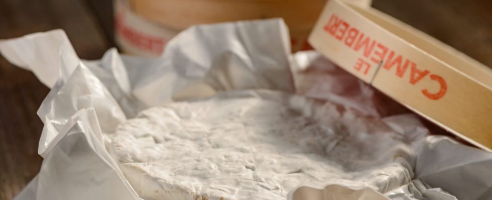 Europe is attacking our good old boxes of Camembert