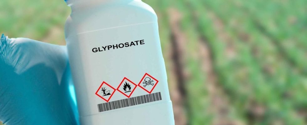 Glyphosate renewed for 10 years a health aberration according to