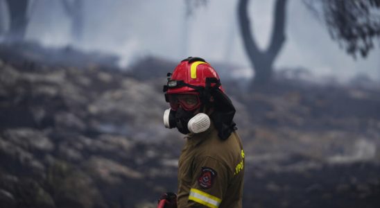 Greece faced with forest fires the authorities are trying to