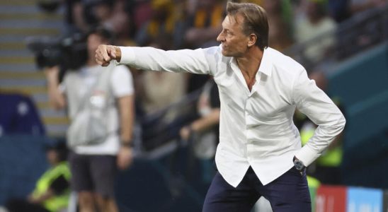 Herve Renard and womens football