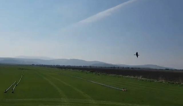 High school students designed it Autonomous robotic bird Thanks to