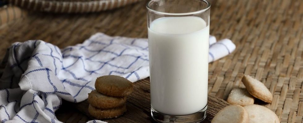 How to recognize milk that has gone sour