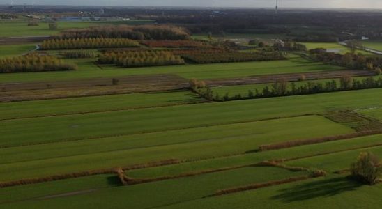 IJsselstein will get a new nature reserve Maybe with a