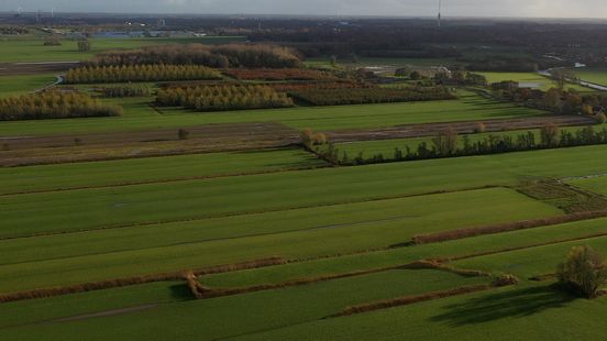 IJsselstein will get a new nature reserve Maybe with a