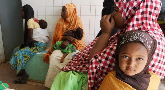 In Niger the fight to put health at the heart