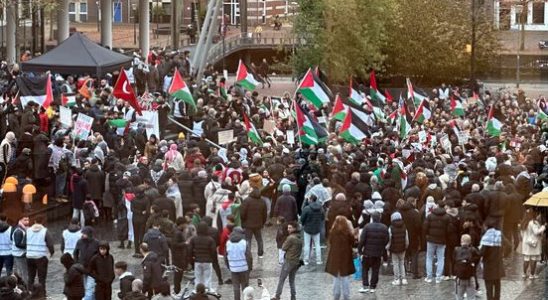 More than 500 demonstrators participate in the march for Palestine