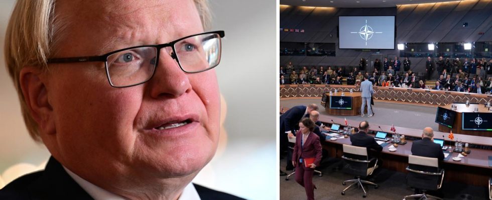 Peter Hultqvist Is humiliating for Sweden