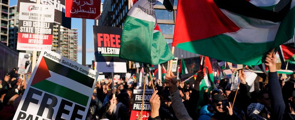 Pro Palestinian protests in London