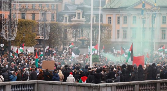 Protesters The government lacks a backbone