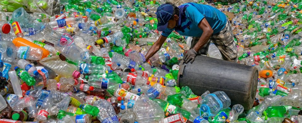 Recycling helps perpetuate plastic pollution – LExpress