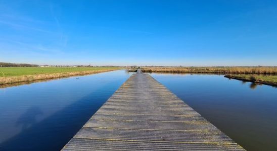 Research water quality in ditches and ponds remains poor