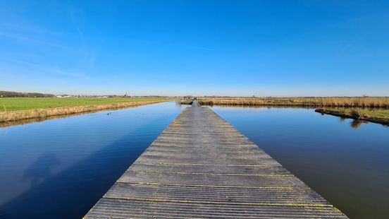 Research water quality in ditches and ponds remains poor