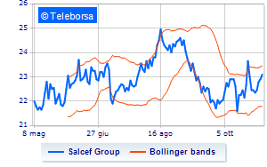 Salcef treasury shares at 22 of the share capital