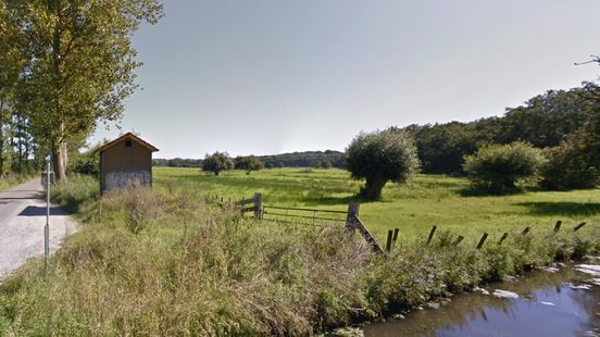 Staatsbosbeheer wants a new forest between Leersum and Wijk bij